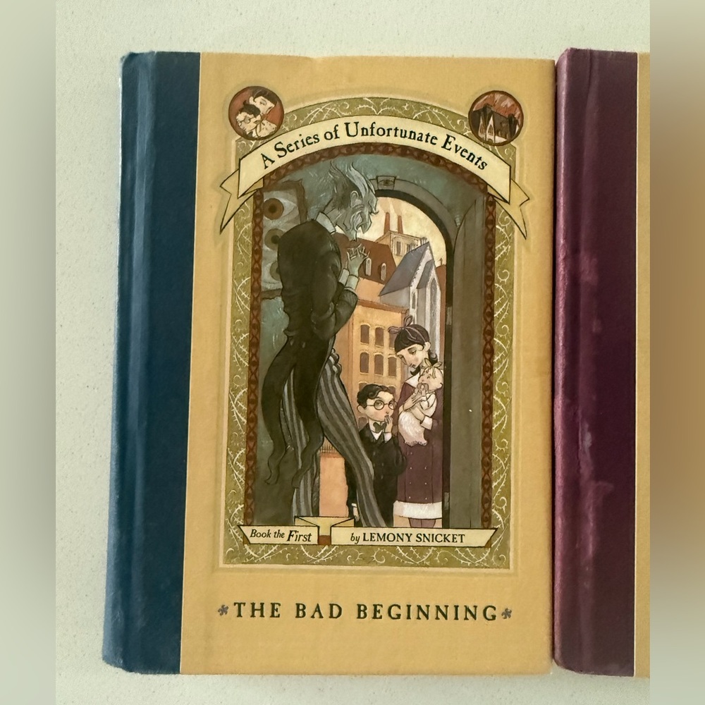 A Series of Unfortunate Events: The Bad Beginning Book, wide window,reptile room